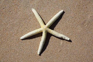 开发商解释《小猪佩奇》游戏保留英女王角色的原因